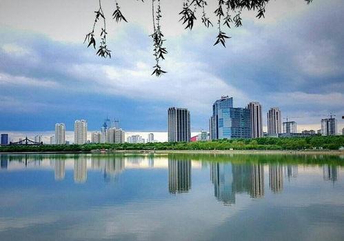 哈尔滨松北区最新爆料,揭秘神秘项目背后的真相  第3张